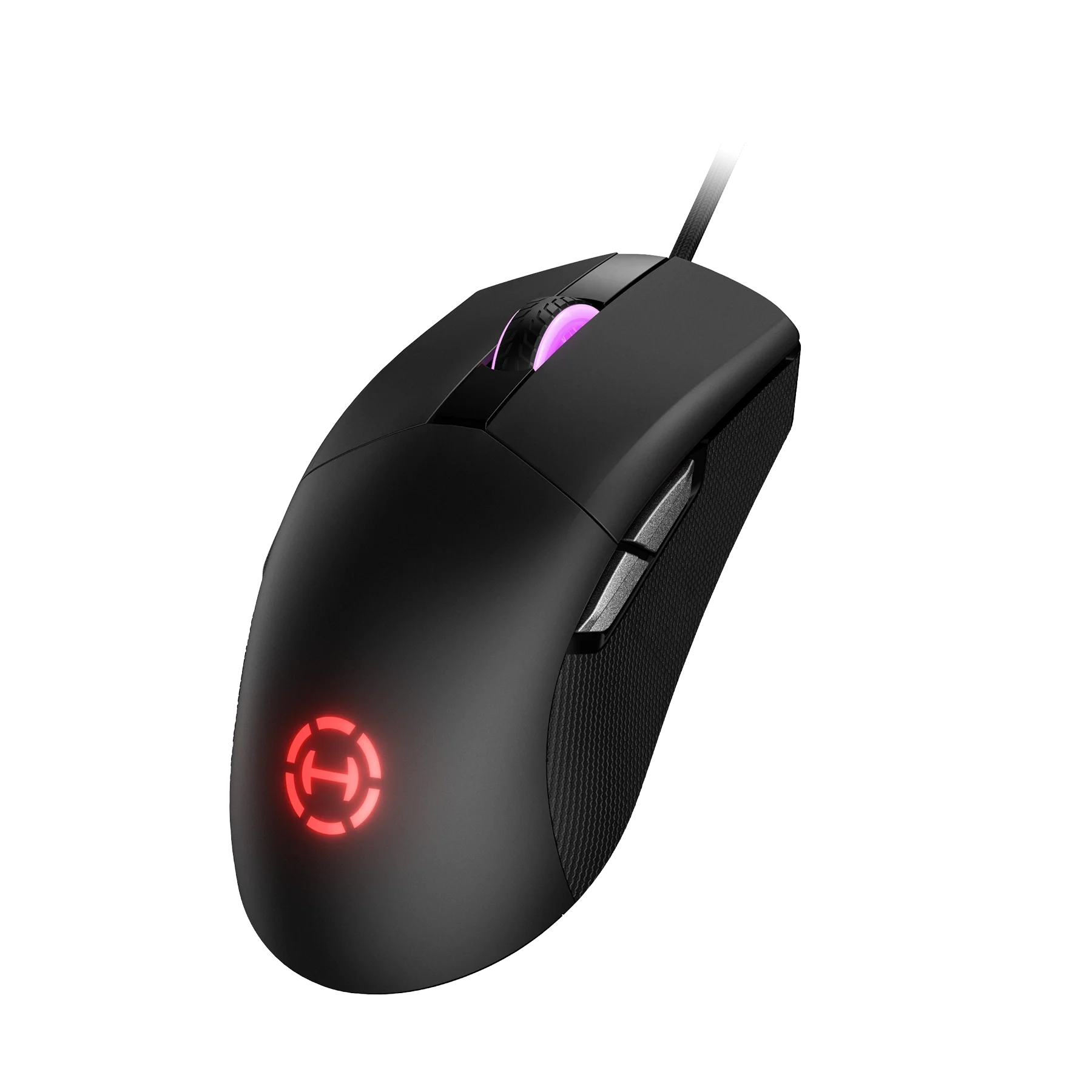 G4M - Image 3